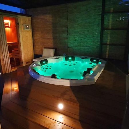 Le Coeur Du Saphir Apartment Thonon-les-Bains Luaran gambar