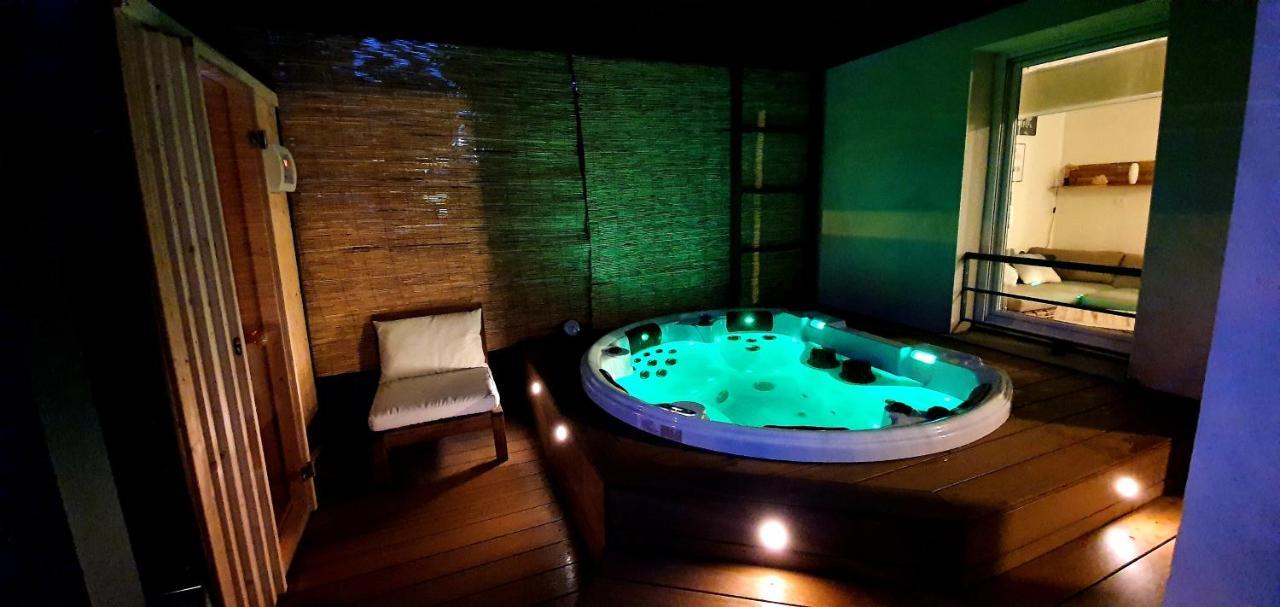 Le Coeur Du Saphir Apartment Thonon-les-Bains Luaran gambar