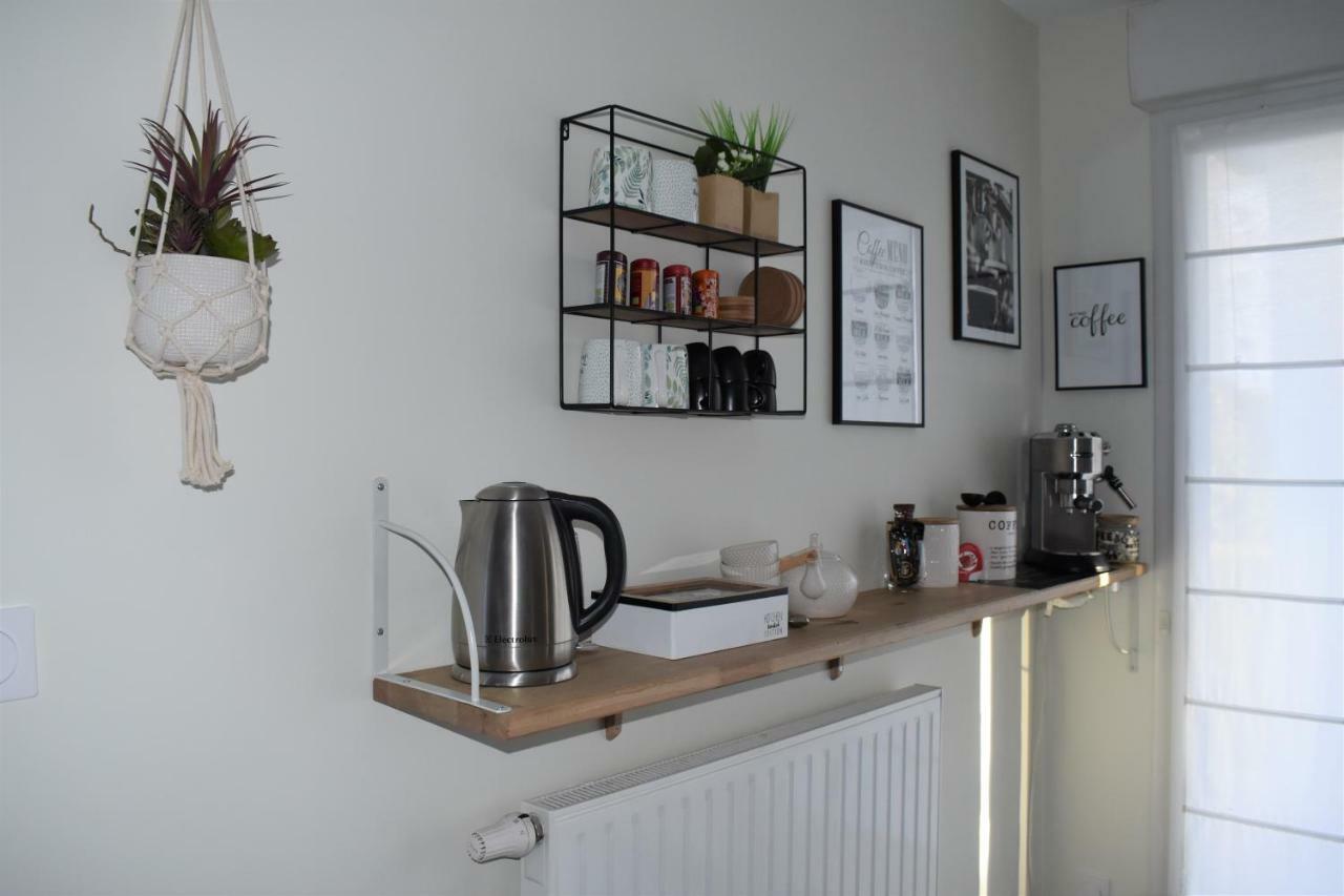Le Coeur Du Saphir Apartment Thonon-les-Bains Luaran gambar